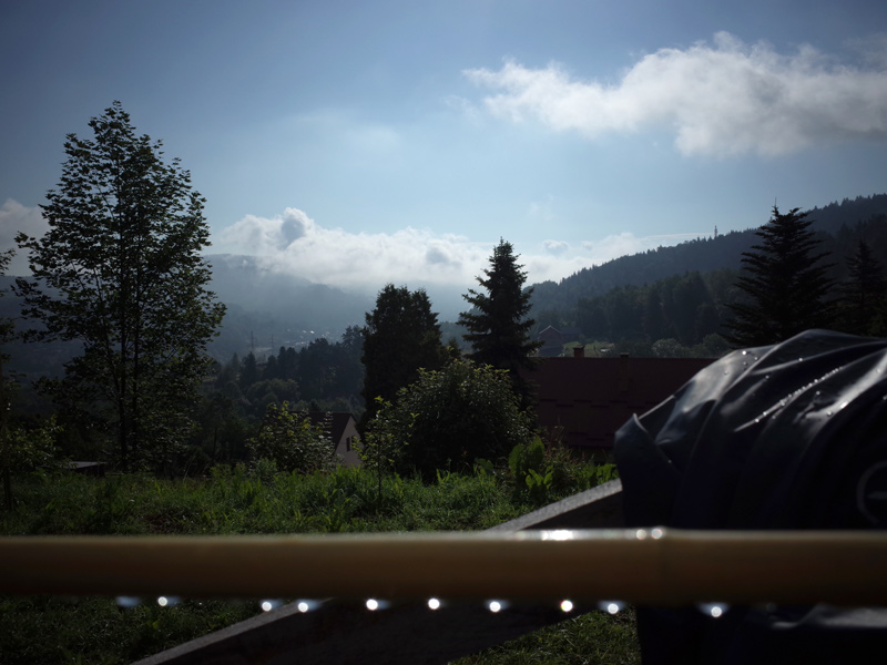 14 :: After rain
